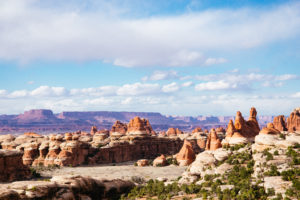 Moss Image, Landscape, canyonlands national park with red cliffs and sandstone structures