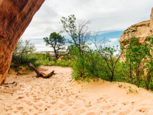 picture of yellow sand with sandstone cliffs blue sky and green trees