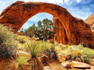 Landscape, Chris Moss, Moab Photographer, Moss Image, Picture of Rainbow bridge sandstone structure with orange rock and grass