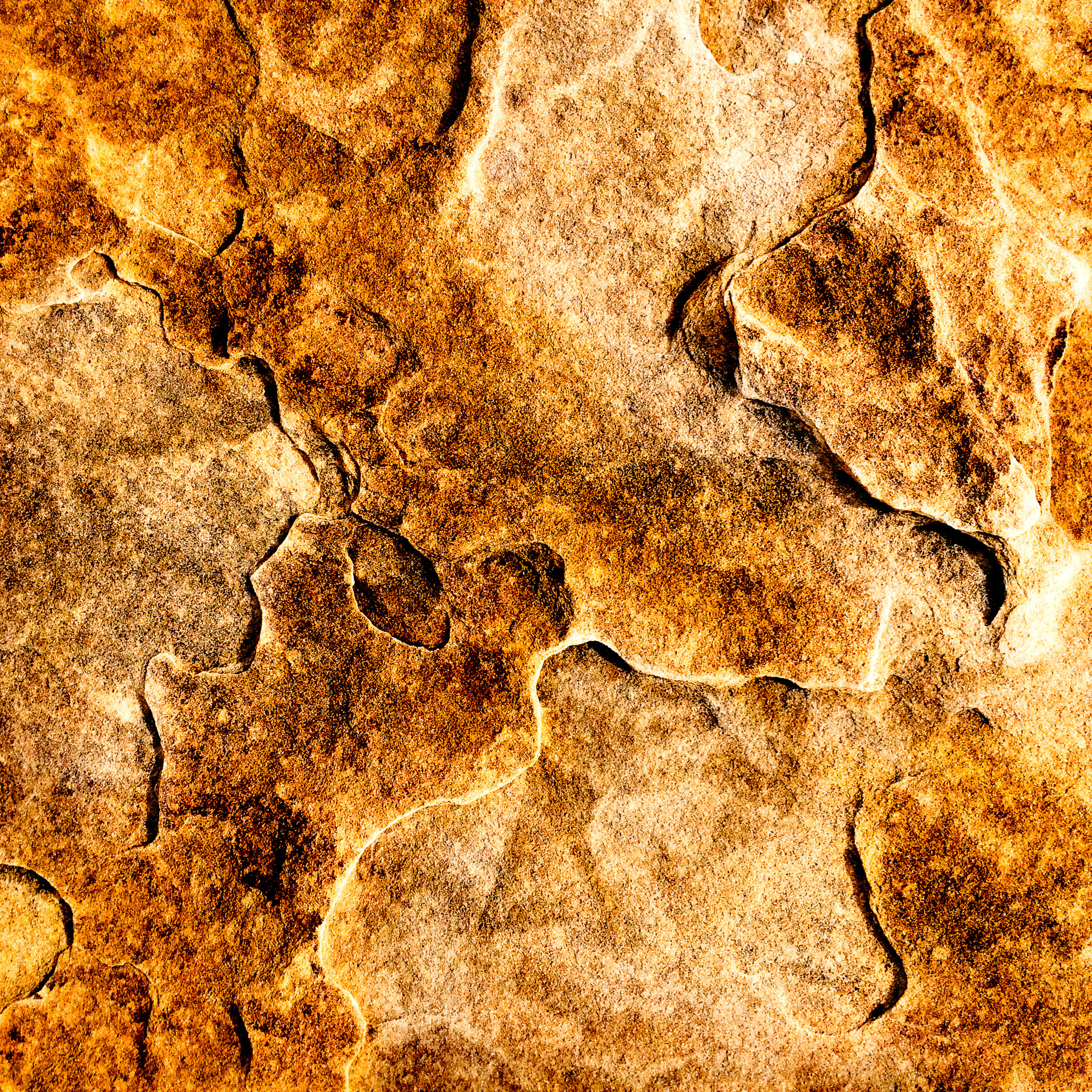 Moss Image, Chris Moss, picture of a sandstone rock yellow and gold