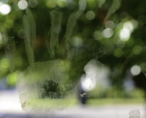Photography, image of hand print on a window with trees in back ground