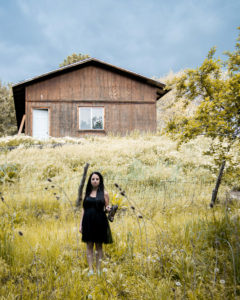 Picture of a girl in a black dress standing in a field with an old building behind her
